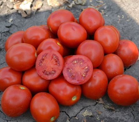 Фото 1 - 2206 F1 томат детерминантный Heinz 500 семян