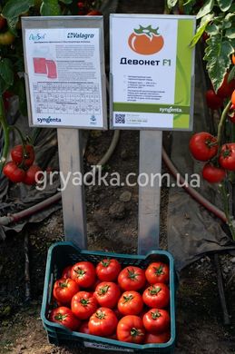 Фото 2 - Девонет F1 томат полудетерминантный Syngenta 500 семян