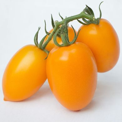 Фото 1 - Бенігара (КС 1430) F1 томат індетермінантний Kitano Seeds 250 насінин