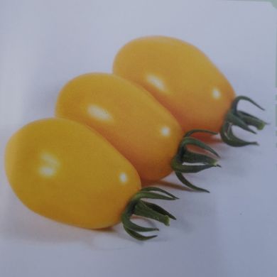 Фото 2 - КС 3690 (KS 3690) F1 томат черрі детермінантний Kitano Seeds 250 насінин
