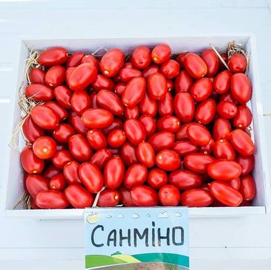 Фото 1 - Санмино F1 томат детерминантный Syngenta 1 000 семян