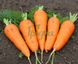 СВ 3118 F1 морква рання Seminis 1.4-1.6, 200 тис. насінин