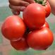 Пинк Джаз F1 томат индетерминантный Hazera 500 семян