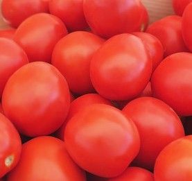 Фото 1 - Баста F1 томат детермінантний Clause 1 000 насінин