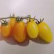 КС 3670 (KS 3670) F1 томат черри полудетерминантный Kitano Seeds 10 семян