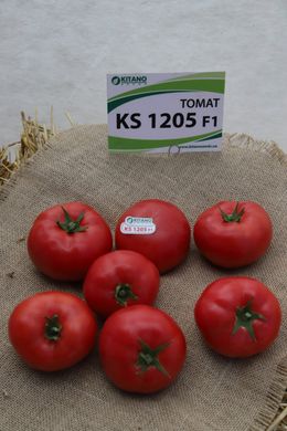 Фото 9 - Фінлі (КС 1205) F1 томат індетермінантний Kitano Seeds 100 насінин