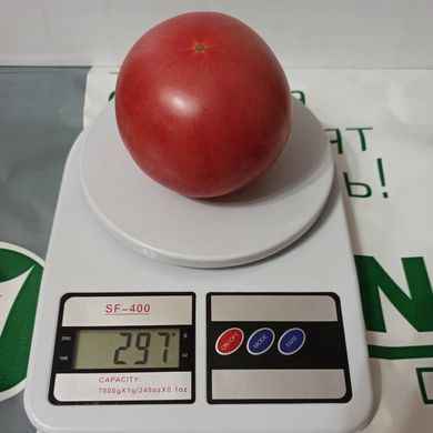 Фото 4 - Фінлі (КС 1205) F1 томат індетермінантний Kitano Seeds 100 насінин