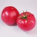 Фінлі (КС 1205) F1 томат індетермінантний Kitano Seeds 100 насінин