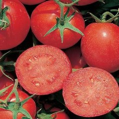Фото 1 - Ред Скай F1 томат детерминантный Nunhems 1000 семян