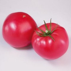 Фото 1 - 2676 F1 томат індетермінантний Hazera 100 насінин
