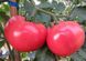Малінка Стар F1 томат рожевий індетермінантний Cora Seeds 250 насінин