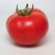 Манамі (КС 21) F1 томат індетермінантний Kitano Seeds 100 насінин