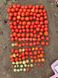 Руфус F1 томат детерминантный Esasem 1 000 семян