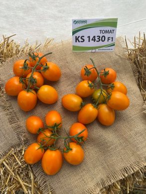 Фото 3 - КС 3670 (KS 3670) F1 томат черрі напівдетермінантний Kitano Seeds 250 насінин