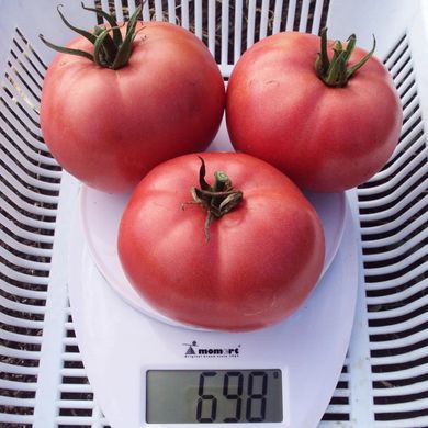 Фото 3 - Пінк Світнес томат детермінантний Lark Seeds 500 насінин
