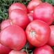 Пінк Світнес томат детермінантний Lark Seeds 500 насінин