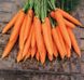 Бриліанс F1 морква пізня Nunhems 1.4-1.6, 100 тис. насінин