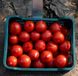 Меланет F1 томат напівдетермінантний Syngenta 500 насінин
