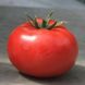 Оазис F1 томат индетерминантный Clause 250 семян