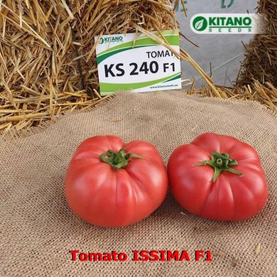 Фото 4 - Иссима F1 (КС 240) томат индетерминантный Kitano Seeds 500 семян
