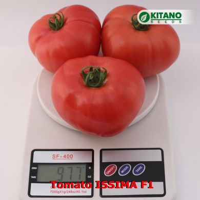 Фото 5 - Иссима F1 (КС 240) томат индетерминантный Kitano Seeds 500 семян