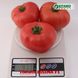 Іссіма F1 (КС 240) томат індетермінантний Kitano Seeds 500 насінин