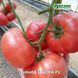 Иссима F1 (КС 240) томат индетерминантный Kitano Seeds 500 семян