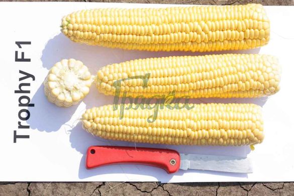 Фото 1 - Трофи F1 кукуруза Seminis 5000 семян