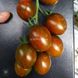 Криспина Плюм F1 томат индетерминантный Esasem 250 семян