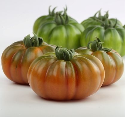 Фото 1 - Марсалато F1 органик томат индетерминантный (Vitalis) Enza Zaden 250 семян