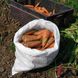 Абако F1 морква тип Шантане Seminis 1.4-1.6, 200 тис. насінин