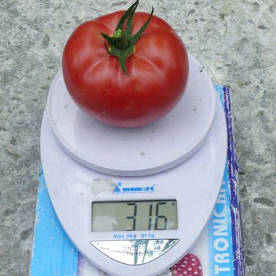Фото 9 - Сапфір F1 (1625 F1) томат індетермінантний Spark Seeds 250 насінин