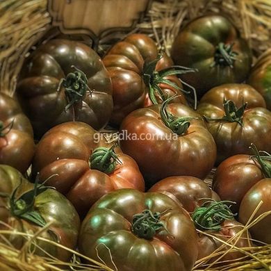 Фото 3 - Браун Кой F1 томат индетерминантный черный Yuksel Seeds 100 семян