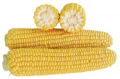 Фото 1 - 1707 F1 кукурудза супер солодка Lark Seeds 2 500 насінин